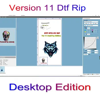 Программное Обеспечение DTF Code RIP Версии 11 Desktop Edition DTG Dongle Key Для принтера Epson L1800 L805 R1390 XP-15000 P700 P900 DTF Версии 11
